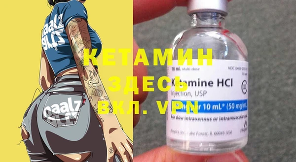 хмурый Белокуриха