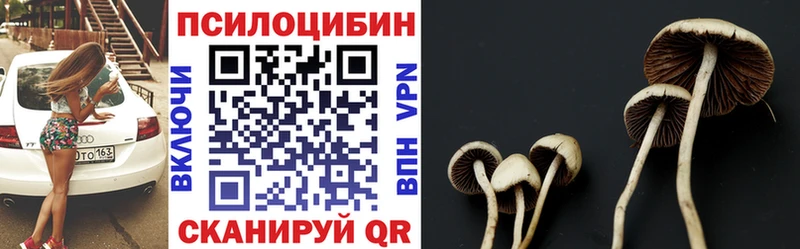 купить наркоту  Кстово  OMG ССЫЛКА  площадка наркотические препараты  Псилоцибиновые грибы прущие грибы 